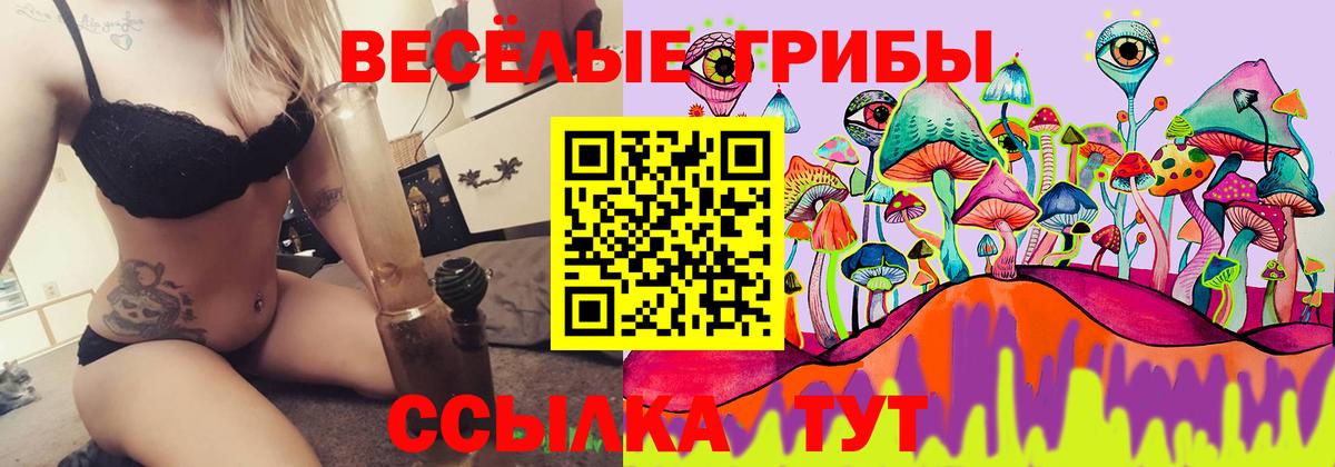 Псилоцибиновые грибы Cubensis  Вход с VPN  сколько стоит  Сунжа  Псилоцибиновые грибы мухоморы 