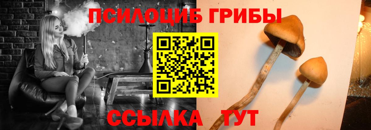 Галлюциногенные грибы мухоморы Сунжа